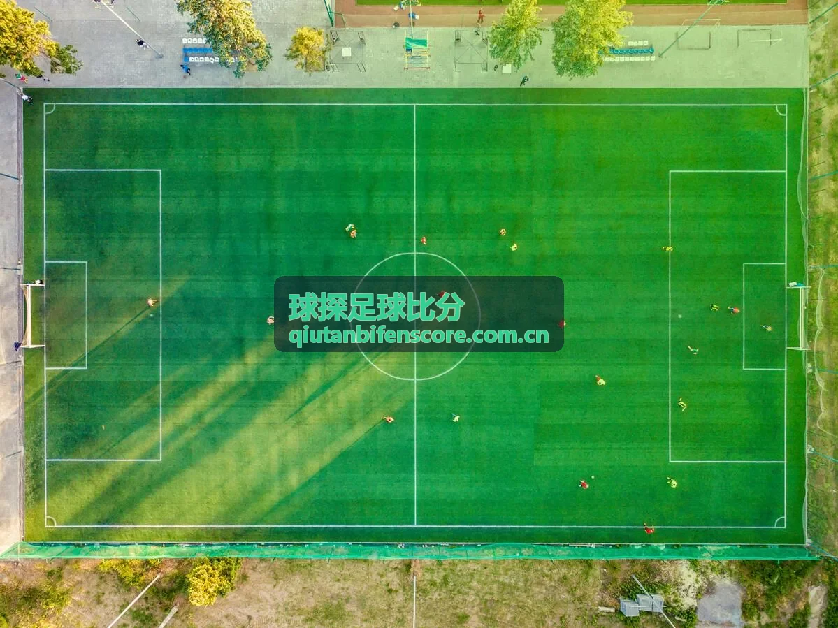 球探足球比分意甲防守数据解析